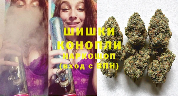 мдпв Заводоуковск