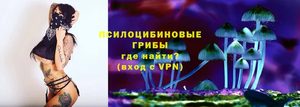 мдпв Заводоуковск