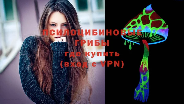 молекула духа Зеленокумск