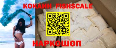 стаф Дубна
