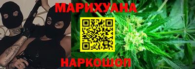 стаф Дубна