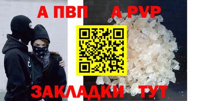 стаф Дубна