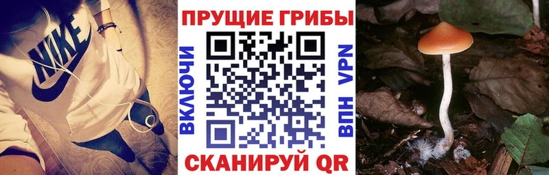 Галлюциногенные грибы Magic Shrooms  Славянск-на-Кубани 