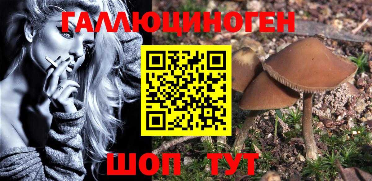 Галлюциногенные грибы Psilocybine cubensis  Псилоцибиновые грибы ЛСД  Славянск-на-Кубани 