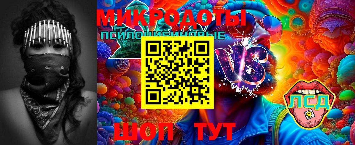 Славянск-на-Кубани  Псилоцибиновые грибы ЛСД  Вход с VPN 